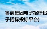 鲁商集团电子招标投标平台官网(鲁商集团电子招标投标平台)