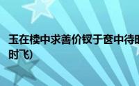 玉在椟中求善价钗于奁中待时飞(玉在椟中求善价钗于奁内待时飞)