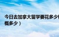 今日去加拿大留学要花多少钱（大学去加拿大留学的费用大概多少）