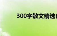 300字散文精选(300字精美散文)