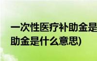 一次性医疗补助金是由谁支付(一次性医疗补助金是什么意思)