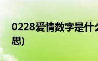 0228爱情数字是什么(0221爱情数字什么意思)