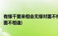 有缘千里来相会无缘对面不相逢歌词(有缘千里来相会无缘对面不相逢)