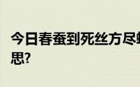 今日春蚕到死丝方尽蜡炬成灰泪始干是什么意思?