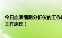 今日血液细胞分析仪的工作原理是什么（血液细胞分析仪的工作原理）