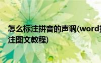 怎么标注拼音的声调(word拼音加声调怎么打 word拼音标注图文教程)