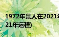 1972年鼠人在2021年的运势(1972年鼠人2021年运程)