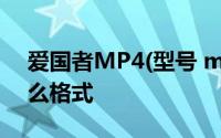 爱国者MP4(型号 mp f986c)的视频支持什么格式