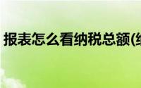 报表怎么看纳税总额(纳税总额在报表哪里看)