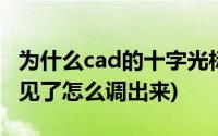 为什么cad的十字光标不见了(cad十字光标不见了怎么调出来)