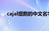 cajal细胞的中文名字(jar细胞中文名字)