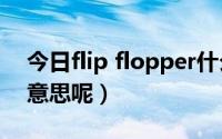 今日flip flopper什么意思（Flipper是什么意思呢）