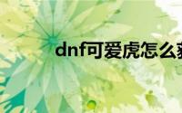 dnf可爱虎怎么获得(dnf可爱虎)