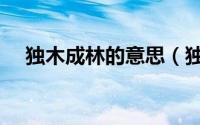 独木成林的意思（独木成林是什么意思）