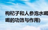 枸杞子和人参泡水喝的功效与作用(人参泡水喝的功效与作用)