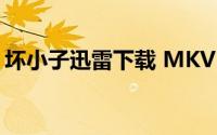 坏小子迅雷下载 MKV 下载(坏小子迅雷下载)