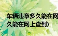 车辆违章多久能在网上查到记录(车辆违章多久能在网上查到)