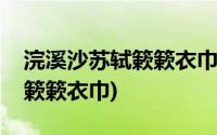 浣溪沙苏轼簌簌衣巾落枣花翻译(浣溪沙苏轼簌簌衣巾)