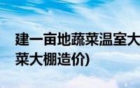 建一亩地蔬菜温室大棚造价多少钱(一亩地蔬菜大棚造价)