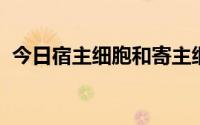 今日宿主细胞和寄主细胞间是什么关系结构