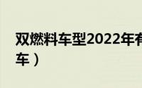 双燃料车型2022年有哪些（什么是双燃料汽车）