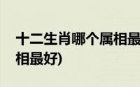 十二生肖哪个属相最有福气(十二生肖哪个属相最好)