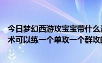 今日梦幻西游攻宝宝带什么法宝（梦幻西游宝宝锦毛貂精法术可以练一个单攻一个群攻的吗）