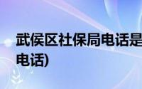 武侯区社保局电话是多少(武侯区社保局咨询电话)