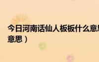 今日河南话仙人板板什么意思（仙人板板是哪里的方言什么意思）