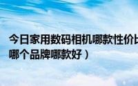 今日家用数码相机哪款性价比高（最近想买个家用数码相机 哪个品牌哪款好）