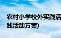 农村小学校外实践活动方案(农村学校社会实践活动方案)