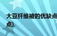 大豆纤维被的优缺点价格(大豆纤维被的优缺点)