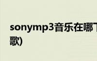 sonymp3音乐在哪下载(sonymp3怎么下载歌)