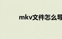 mkv文件怎么导入pr(mkv文件)