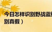 今日怎样识别野战蓝鲫真假（野战蓝鲫怎样辨别真假）