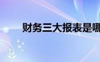 财务三大报表是哪些(财务三大报表)