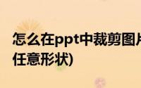 怎么在ppt中裁剪图片任意形状(ppt图片剪切任意形状)