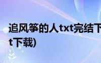 追风筝的人txt完结下载百度云(追风筝的人txt下载)