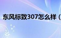 东风标致307怎么样（东风标志307怎么样）