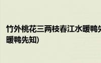 竹外桃花三两枝春江水暖鸭先知哲理(竹外桃花三两枝春江水暖鸭先知)