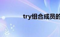 try组合成员的简介(try组合)