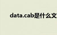 data.cab是什么文件(cab是什么文件)