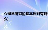 心理学研究的基本原则有哪些?(心理学研究的基本原则是什么)