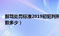 醉驾处罚标准2019初犯判刑吗（醉驾处罚标准2019初犯罚款多少）