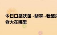 今日口袋妖怪~翡翠~我破坏了熔岩队的基地。水军舰队的老大在哪里