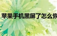 苹果手机黑屏了怎么恢复正常(苹果死机黑屏)