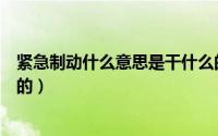 紧急制动什么意思是干什么的（紧急制动什么意思是干什么的）