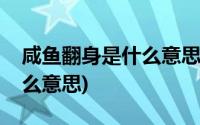 咸鱼翻身是什么意思网络用语(咸鱼翻身是什么意思)