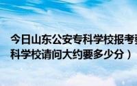 今日山东公安专科学校报考要求（我是山东考生想考公安专科学校请问大约要多少分）