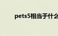 pets5相当于什么难度(pets5难度)